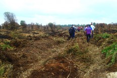 Australia provides Indonesia with A$500,000 for carbon accounting&nbsp;system