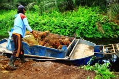 Indonesians stay in Serawak despite problems 