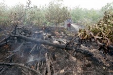 Politics slows fight against peatland fires