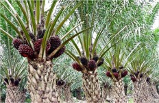 Sustainable with ESG