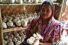 Employing disabled people a long-term investment, says ILO