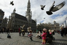 Pigeons take flight as tourists feed them in the Grand Place in Brussels, Monday, March, 28, 2016. The Belgian health minister says four of those wounded in the suicide bombings last week have died in the hospital, bringing the number of victims of the bombings to 35.