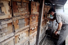 Gandaria Utara Subdistrict Staff inspect bird coops on a residential area in South Jakarta, Wednesday, March 30, 2016. JP/Seto Wardhana