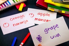 I’ve heard so much about the benefits of raising a bilingual child, from better problem-solving abilities due to their active cognitive process as they switch languages, to a brighter future as they are able to communicate globally.