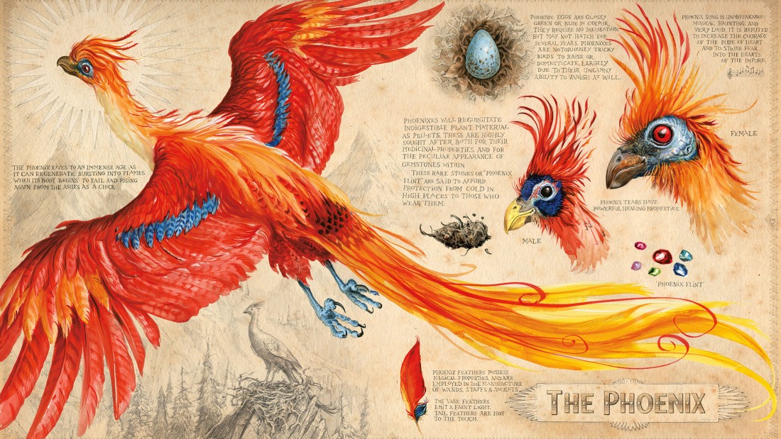 Harry Potter's latest illustrated edition looks amazing