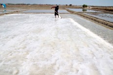 A working man preparing to harvest the raw salt 