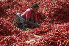 Feel the heat: 6 chilies that are red hot and spicy