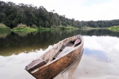  Illegal miners reoccupy national park in Poso