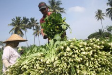 ISEI, Kadin eye 1 million farmers to join sustainable agriculture scheme