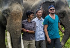DiCaprio’s documentary highlights Mt. Leuser deforestation