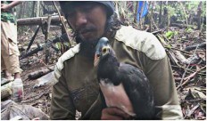 Q&A: Introducing Santoso