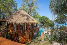 LIPI launches expedition to Wallacea in search of undiscovered species