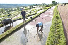 A local, just and nature-rich transformation for food systems