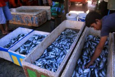 Workers remove frozen fish to distribute to door-to-door retail suppliers. JP/Syamsul Huda M. Suhari


