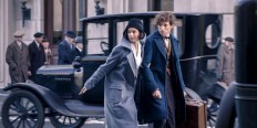A scene from Fantastic Beasts and Where to Find Them.