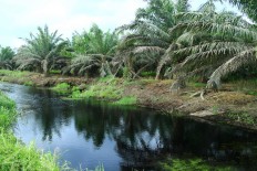 Astra Agro to spend nearly Rp 1.2 t for plantation improvement, fertilizer plant