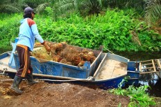 Review moratorium on oil palm plantations