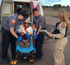Woman lost 9 days in Arizona forest wrote 'help' in sticks