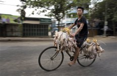 Strong earthquake strikes Myanmar, felt in India