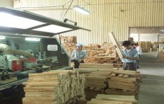 Vietnam, EU agree on timber export regulations