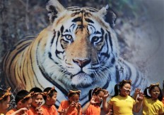 Tiger countries agree to preserve big-cat habitats