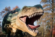 From tiny to titan: Baby dinosaur fossils reveal megagrowth 