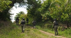 New group detected in terrorist hotbed of Central Sulawesi