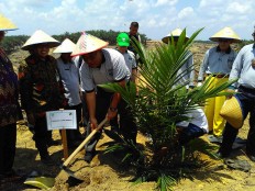 Aiming for a bona fide sustainability platform