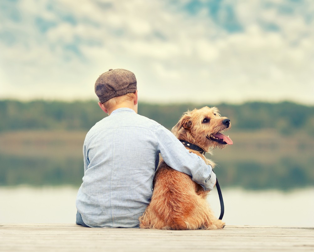 Your pet dog does not like being hugged, new study suggests - Science ...