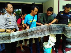 Illegal wildlife traders arrested in Riau