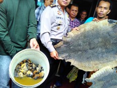 Three nabbed for hunting Sumatran tigers