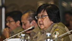 Entire process for new palm oil permit issuance ends: Minister