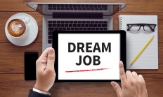 7 weird jobs you never knew existed