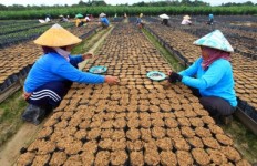 A win-win solution for economy, environment