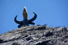 The horns of a buffalo are seen on the roof of a Mbaru Niang traditional house in Bangka Tuke village in Manggarai, East Nusa Tenggara. The Jakarta Post/ Markus Makur