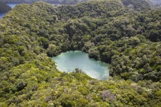 This Aug. 6, 2010, aerial photo shows Jellyfish Lake in Palau. 