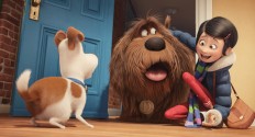 Released by Illumination Entertainment, which made the Despicable Me franchise, The Secret Life of Pets offers an intriguing and hilarious tale as it follows a terrier named Max who gets involved in a rivalry with a mongrel named Duke obtained from a dog pound by his owner Katie, who lives in a Manhattan apartment building. 