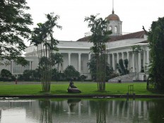 My frogs have been eaten by a monitor lizard: Jokowi