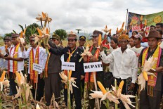 Govt allocates US$250 million to eliminate corn imports