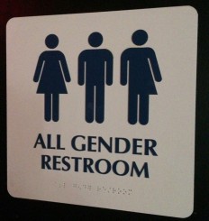 School board takes transgender bathroom case to high court 