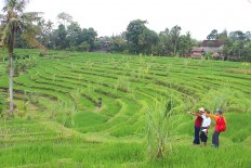 ASEAN to form ecotourism clusters