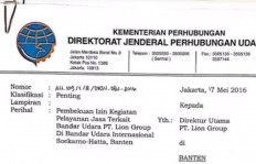 Lion Air ground-handling permit suspended