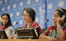UN official: Peace treaties need to address indigenous women