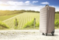 Bali regency of Klungkung launches app for tourists