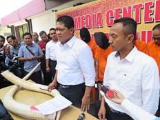 Five suspects named in Riau ivory trade case