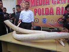 Police nab ivory trade syndicate
