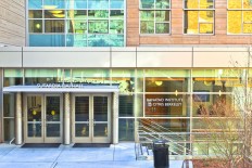 Move beyond nationalistic paranoia; tap into the pride of our diaspora