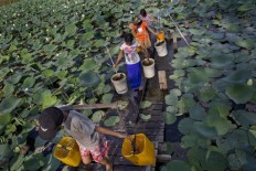 UK affirms relations with Myanmar despite Brexit 