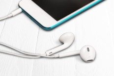 Local musicians offer CDs, merchandise through e-commerce