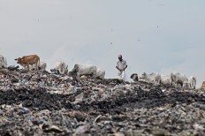 Surakarta needs new permanent dumpsite